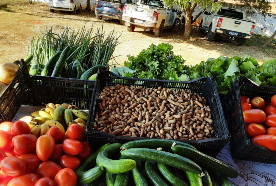 Mais de 350 produtores de Rondônia são aprovados no Programa de Aquisição de Alimentos Indígena