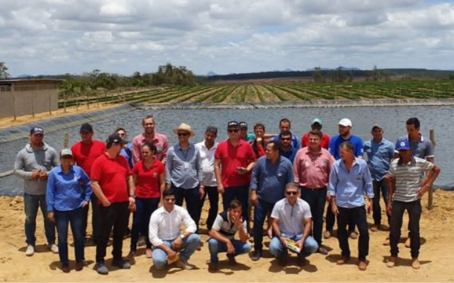 Cafeícultores de Rondônia vão ao Espírito Santo conhecer tecnologias para o café