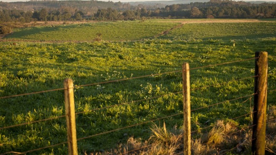 Programa Regulariza Rondônia é lançado para ampliar regularização fundiária no estado