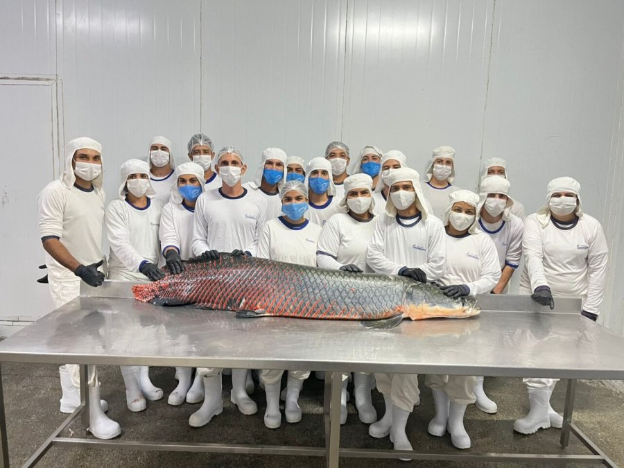 Integração amplia área de comércio à indústria de peixes do Vale do Paraíso