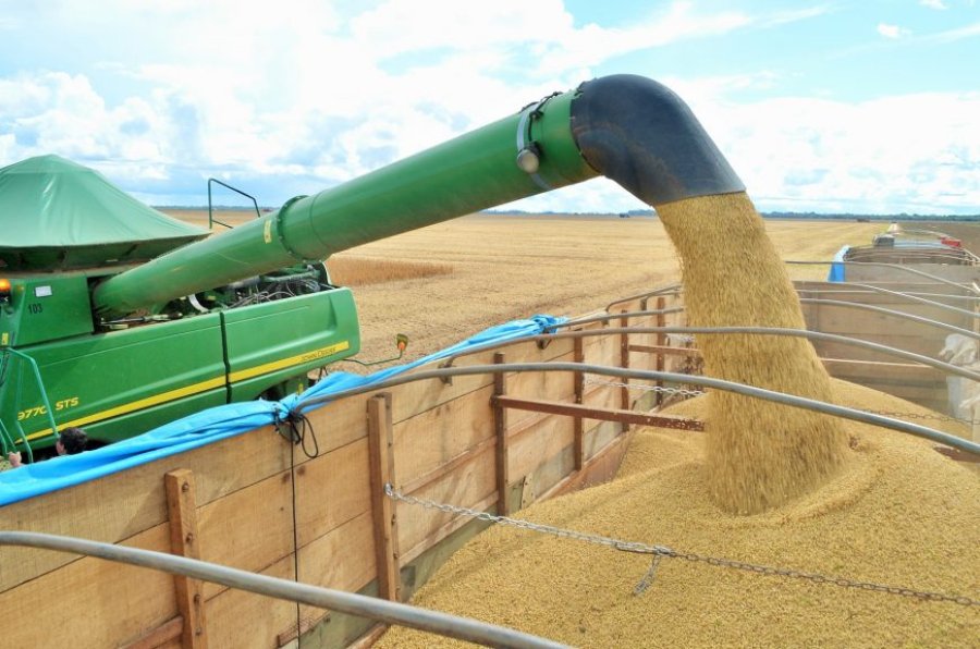 Prazo para cadastro da área cultivada com soja em Rondônia se encerra nesta quinta feira, dia 30