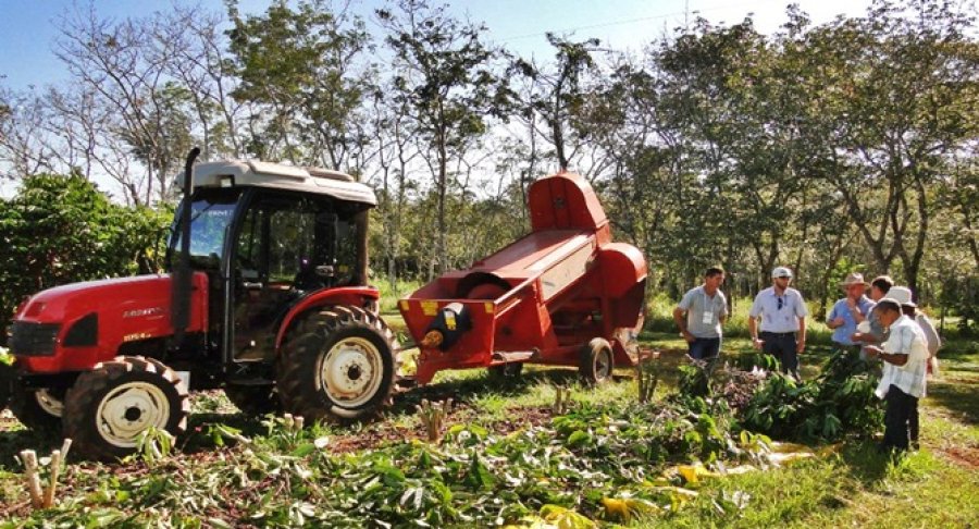 Colheita mecanizada de café conilon - Revista Cultivar